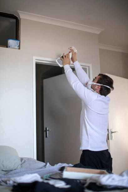 Best Emergency Mold Remediation  in Helena West Side, MT