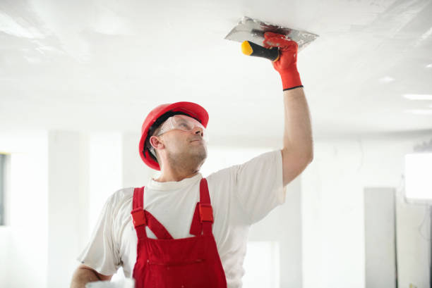Best Mold Odor Removal Services  in Helena West Side, MT