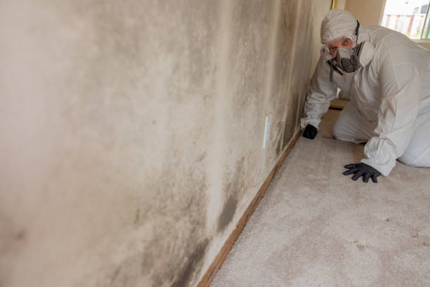 Best Real Estate Mold Inspection  in Helena West Side, MT