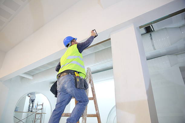 Best Black Mold Removal  in Helena West Side, MT